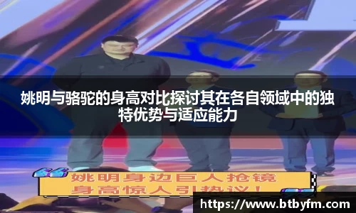 姚明与骆驼的身高对比探讨其在各自领域中的独特优势与适应能力